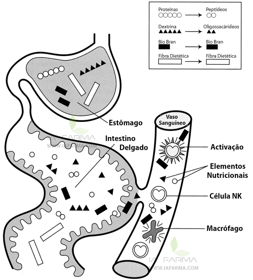 Digestao com BioBran